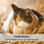 2 Architektenwohnung, Privatsauna, Whirlwanne, Kamin - Naehe Saechsische Schweiz Dresden - Bestprice Appartamento Großharthau