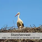 2 Architektenwohnung, Privatsauna, Whirlwanne, Kamin - Naehe Saechsische Schweiz Dresden - Bestprice