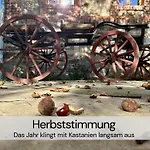 2 Architektenwohnung, Privatsauna, Whirlwanne, Kamin - Naehe Saechsische Schweiz Dresden - Bestprice Großharthau