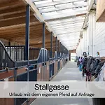 2 Architektenwohnung, Privatsauna, Whirlwanne, Kamin - Naehe Saechsische Schweiz Dresden - Bestprice Appartamento *