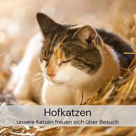 Edles Hideaway Mit Privatsauna, Whirlwanne & Kamin - Fuer Kurzentschlossene Apartament Großharthau