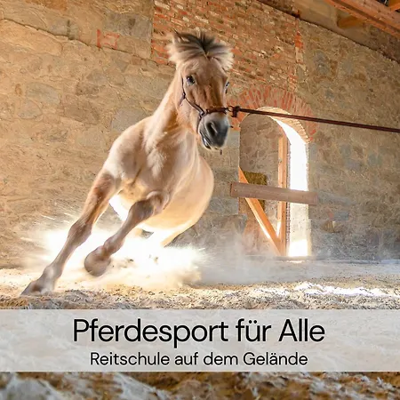 Hexenburgbeidresden 2 Architektenwohnung Mit Eigener Sauna, Whirlwanne Und Kamin - Naehe Saechsische Schweiz Dresden