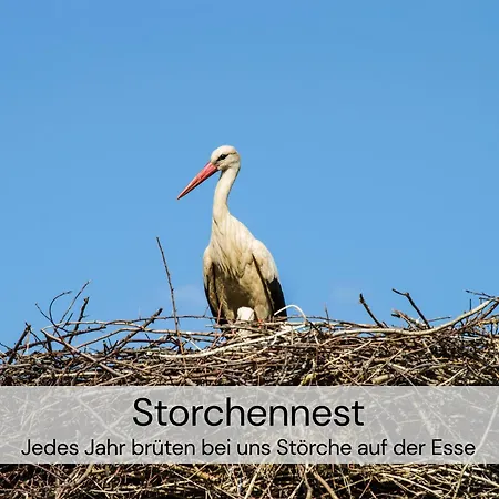 Hexenburgbeidresden 2 Architektenwohnung Mit Eigener Sauna, Whirlwanne Und Kamin - Naehe Saechsische Schweiz Dresden