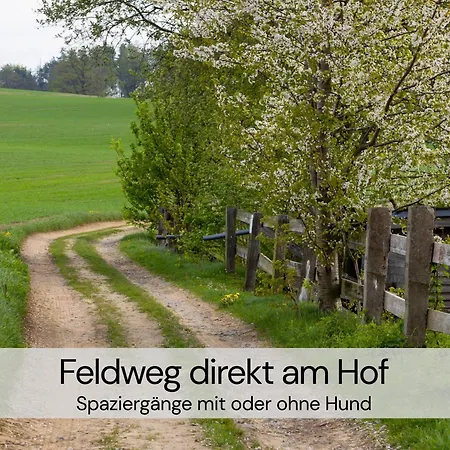2 Architektenwohnung, Privatsauna, Whirlwanne, Kamin - Naehe Saechsische Schweiz Dresden - Bestprice Großharthau