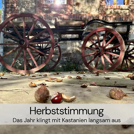 Hexenburgbeidresden 2 Architektenwohnung Mit Eigener Sauna, Whirlwanne Und Kamin - Naehe Saechsische Schweiz Dresden Großharthau