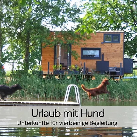 Lejlighed Hexenburgbeidresden 2 Architektenwohnung Mit Eigener Sauna, Whirlwanne Und Kamin - Naehe Saechsische Schweiz Dresden