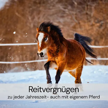 Hexenburgbeidresden 2 Architektenwohnung Mit Eigener Sauna, Whirlwanne Und Kamin - Naehe Saechsische Schweiz Dresden Großharthau